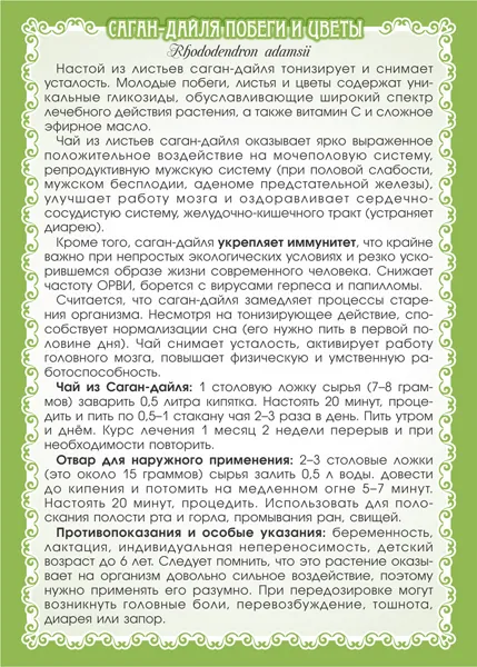 Саган-дайля (рододендрон Адамса)