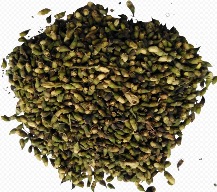 Софора японская (цветы)