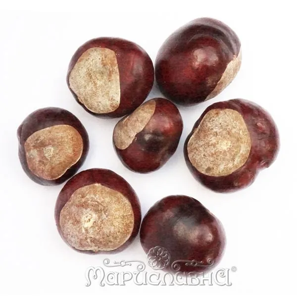 Каштан конский в фильтр-пакетах