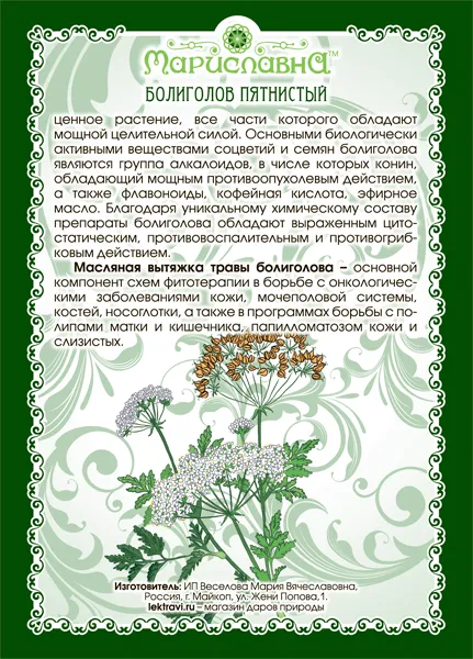 Болиголова Масло (инфуз)