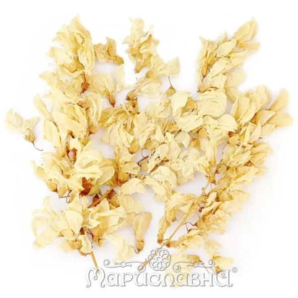 Акация белая (цветы)