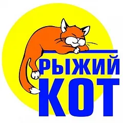 Рыжий кот